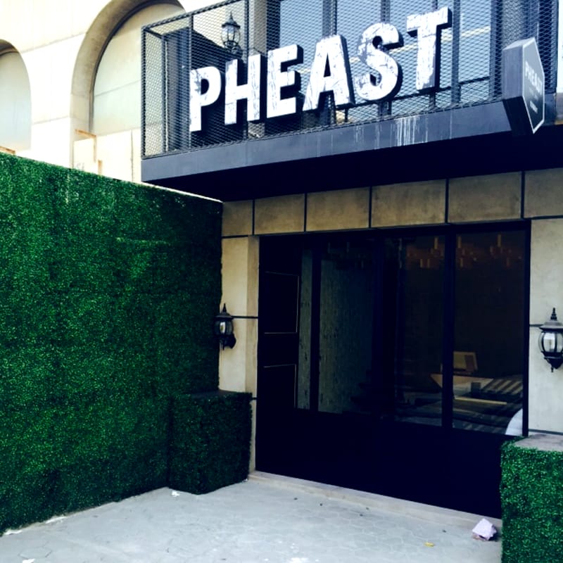 Pheast-Cafe